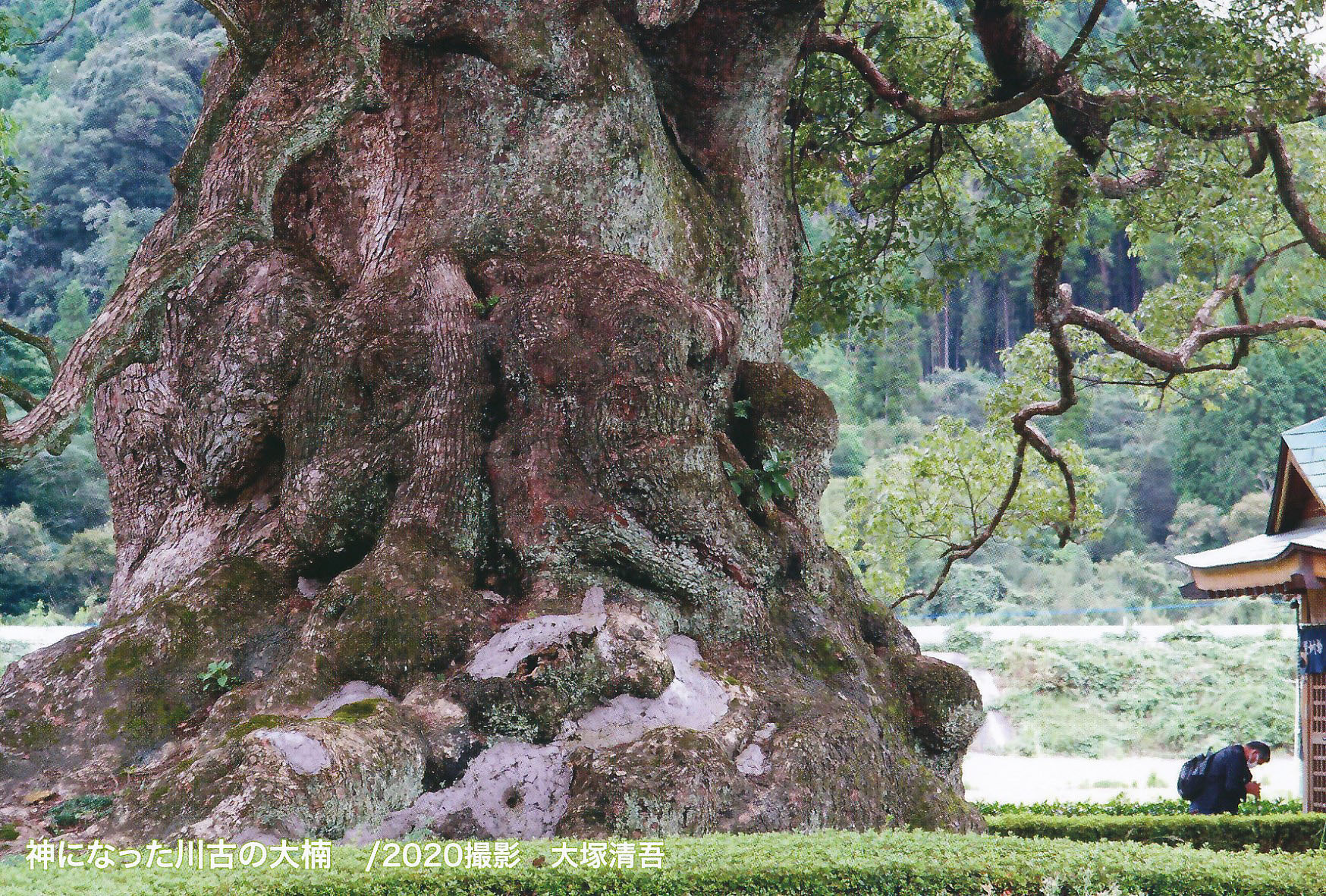 写真セミナー作品1