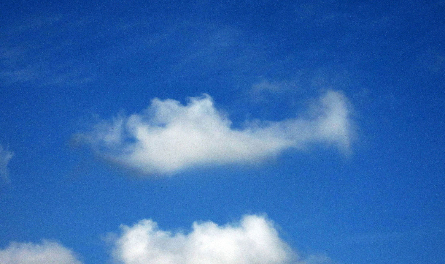 写真セミナー作品2